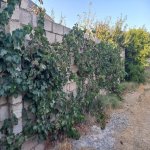 Satılır 3 otaqlı Bağ evi, Digah, Abşeron rayonu 9