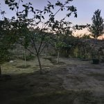 Kirayə (aylıq) 1 otaqlı Bağ evi, Pirşağı qəs., Sabunçu rayonu 4