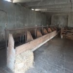 Satılır Obyekt, Novxanı, Abşeron rayonu 12