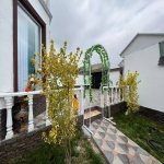 Kirayə (günlük) 6 otaqlı Həyət evi/villa Qəbələ 34