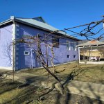 Kirayə (günlük) 4 otaqlı Həyət evi/villa Qəbələ 17