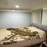 Kirayə (aylıq) 1 otaqlı Köhnə Tikili, Sahil metrosu, Səbail rayonu 5