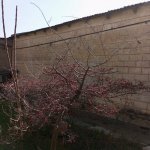 Satılır Torpaq, Qaraçuxur qəs., Suraxanı rayonu 11