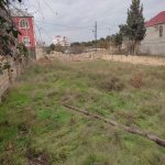 Satılır Torpaq, Novxanı, Abşeron rayonu 2