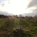 Satılır Torpaq, Buzovna, Xəzər rayonu 8