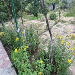 Satılır 6 otaqlı Həyət evi/villa, Buzovna, Xəzər rayonu 13