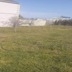 Satılır Torpaq, Novxanı, Abşeron rayonu 1