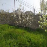 Satılır Torpaq, Binə qəs., Xəzər rayonu 16
