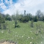 Satılır Torpaq Şamaxı 1