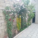 Satılır 3 otaqlı Həyət evi/villa, Zabrat qəs., Sabunçu rayonu 3