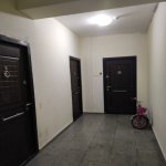 Kirayə (aylıq) 2 otaqlı Yeni Tikili, Gənclik metrosu, Nərimanov rayonu 20