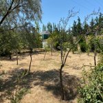 Satılır 5 otaqlı Bağ evi, Novxanı, Abşeron rayonu 5