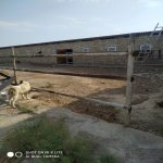 Satılır Obyekt, Binə qəs., Xəzər rayonu 5