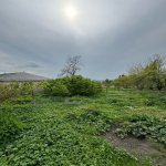 Satılır Torpaq İsmayıllı 6