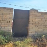 Satılır Torpaq, Saray, Abşeron rayonu 6