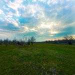 Satılır Torpaq Qəbələ 2