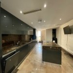 Kirayə (aylıq) 5 otaqlı Yeni Tikili, Sahil metrosu, Səbail rayonu 23