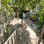 Продажа Участок, пос. Бадамдар, Сябаиль район 6