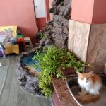 Продажа 4 комнат Дома/Виллы, м. Короглу метро, Хязяр район 9