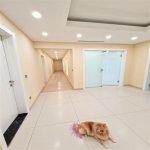 Kirayə (aylıq) 4 otaqlı Yeni Tikili, İçərişəhər metrosu, Səbail rayonu 25