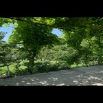 Satılır 5 otaqlı Həyət evi/villa Quba 16