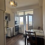 Аренда 1 комнатная Новостройка, пос. Забрат, Сабунчу район 9