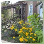Kirayə (aylıq) 4 otaqlı Həyət evi/villa, Fatmayi, Abşeron rayonu 13