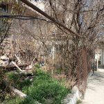 Satılır Torpaq, Xalqlar dostluğu metrosu, Qaraçuxur qəs., Suraxanı rayonu 15