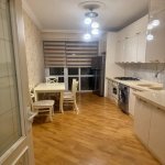 Kirayə (aylıq) 2 otaqlı Yeni Tikili, Nəriman Nərimanov metrosu, Nəriman Nərimanov parkı, Nərimanov rayonu 4