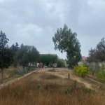 Satılır Torpaq, Mərdəkan, Xəzər rayonu 3