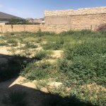 Satılır Torpaq, Avtovağzal metrosu, Novxanı, Abşeron rayonu 3
