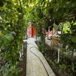 Kirayə (günlük) 4 otaqlı Həyət evi/villa Xaçmaz / Nabran 28
