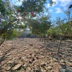 Продажа Участок, м. Азадлыг метро, пос. Бинагяди, Бинагадинский р-н район 3