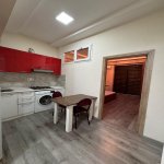 Kirayə (aylıq) 2 otaqlı Yeni Tikili, Nəriman Nərimanov metrosu, Nərimanov rayonu 4