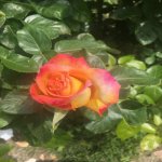 Satılır 5 otaqlı Həyət evi/villa Xaçmaz / Xudat 28