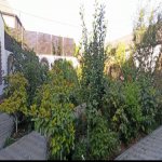 Kirayə (günlük) 4 otaqlı Bağ evi, Mərdəkan, Xəzər rayonu 21