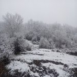 Посуточно 3 комнатная Дома/Виллы Лерик 7