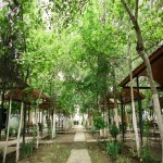 Satılır Obyekt Hacıqabul 7