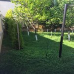 Kirayə (aylıq) 7 otaqlı Bağ evi, Novxanı, Abşeron rayonu 15
