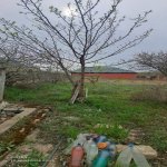 Satılır Torpaq Sumqayıt 8