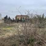 Satılır Torpaq, Pirşağı qəs., Sabunçu rayonu 4