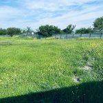 Satılır Torpaq Qəbələ 4