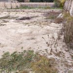 Satılır Torpaq, Bilgəh qəs., Sabunçu rayonu 2