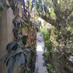 Satılır 5 otaqlı Həyət evi/villa, Xalqlar dostluğu metrosu, 8-ci kilometr, Nizami rayonu 35