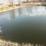 Satılır Torpaq Şamaxı 4