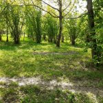 Продажа Участок Гябяля 10