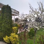 Kirayə (aylıq) 4 otaqlı Bağ evi, Goradil, Abşeron rayonu 10