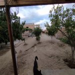 Satılır 5 otaqlı Bağ evi, Qala, Xəzər rayonu 3