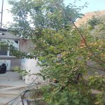 Satılır 3 otaqlı Həyət evi/villa, Lökbatan qəs., Qaradağ rayonu 2