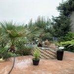 Kirayə (aylıq) 3 otaqlı Həyət evi/villa, Mərdəkan, Xəzər rayonu 7